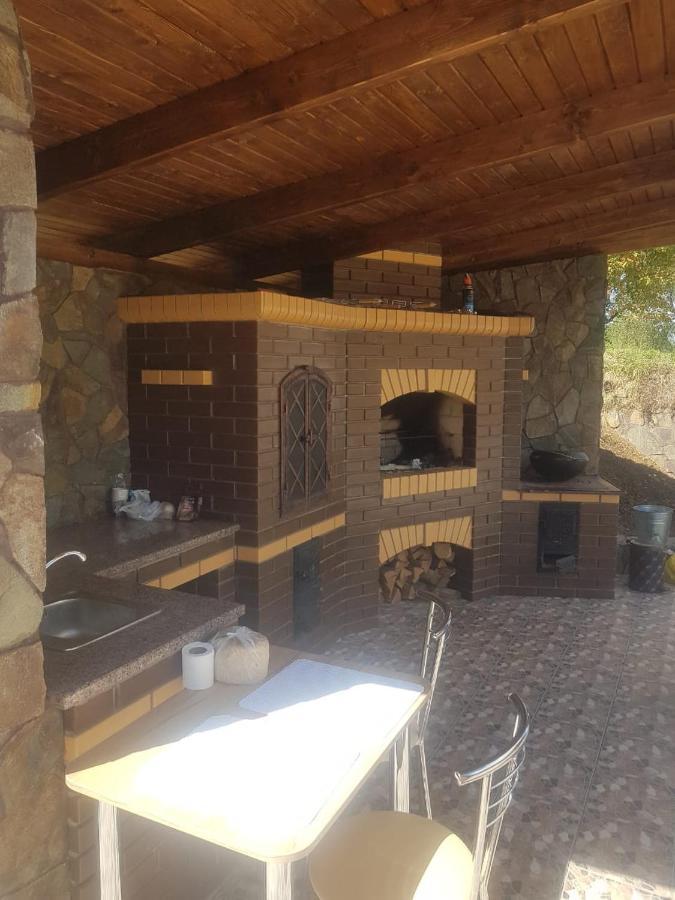 Villa Paraiso Karpaty Tesnitska Extérieur photo